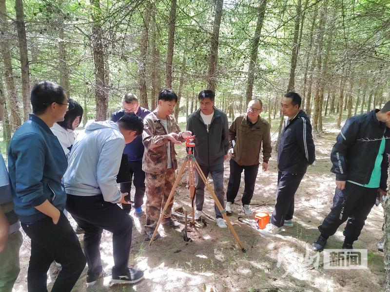 内下林场绿色发展步伐与成就最新报道