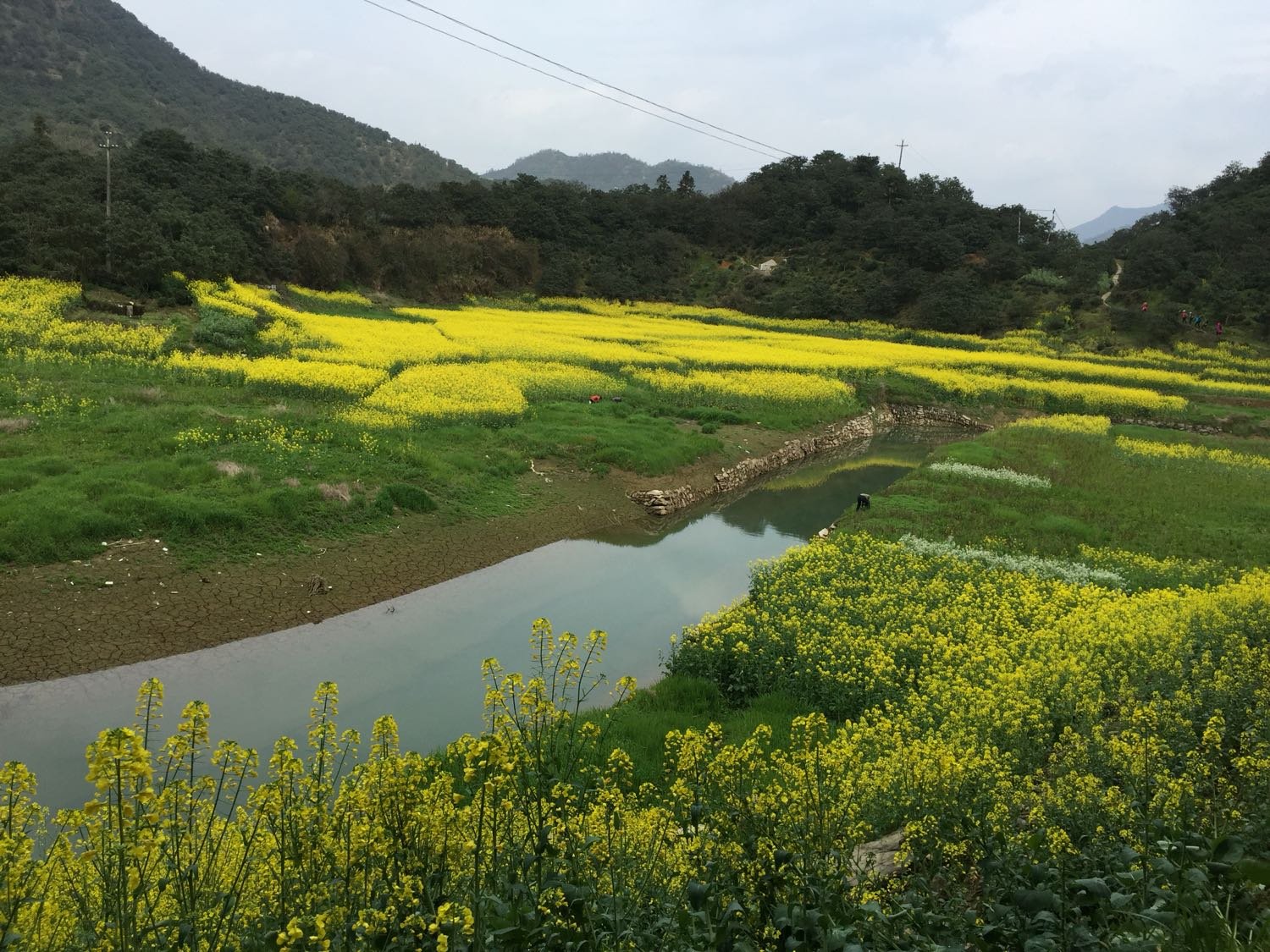 黄坝乡最新天气预报