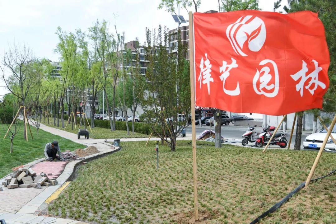 东胜区级公路维护监理事业单位最新项目概览