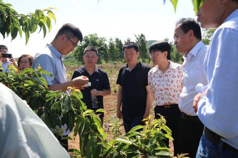 果树示范场新领导引领变革与发展启航