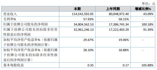 大新县数据和政务服务局最新项目探索与实践成果展示