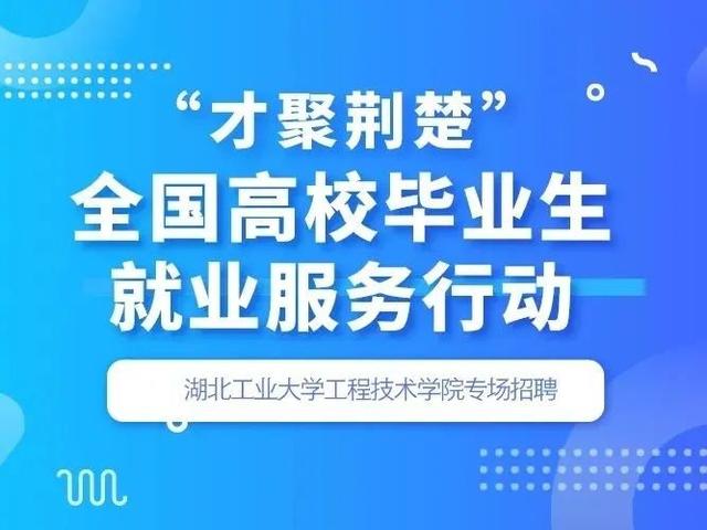 潍城区级托养福利事业单位最新招聘信息概览